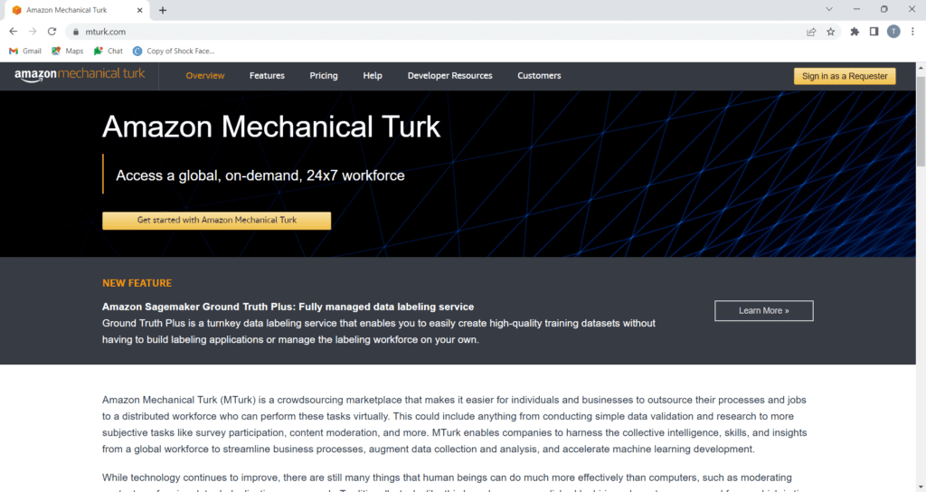 Amazon Mechanical Turk